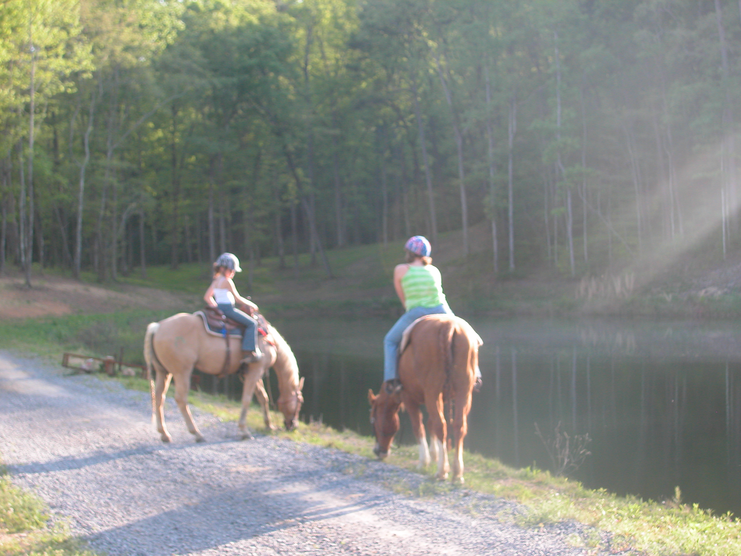 horses_at_lake.jpg